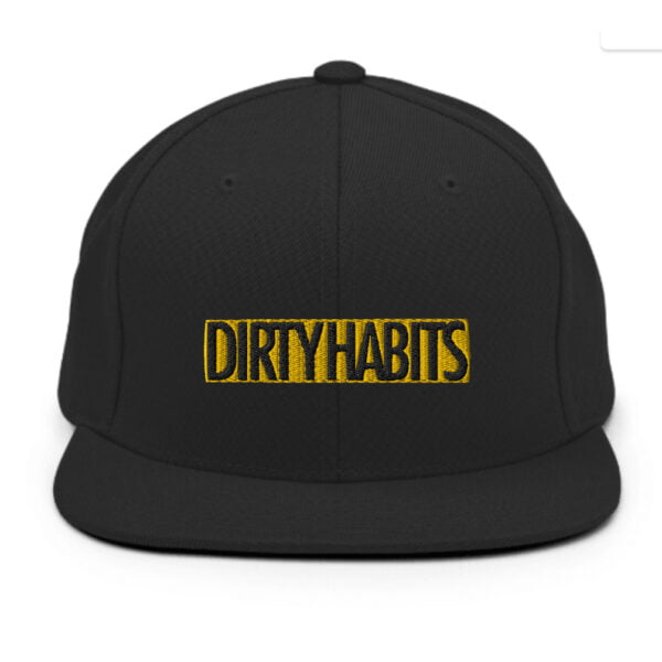 Dirty Habits Branded Snapback